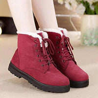 Women's Shoes - Classic Heels Suede Women Winter Warm Fur Plush Ankle Boots