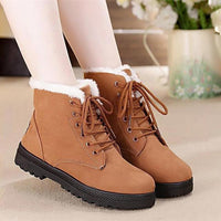 Women's Shoes - Classic Heels Suede Women Winter Warm Fur Plush Ankle Boots