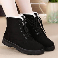 Women's Shoes - Classic Heels Suede Women Winter Warm Fur Plush Ankle Boots